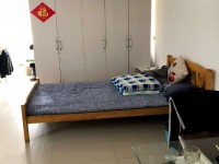 其它图